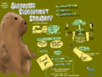 Engagement Strategy. More to the point, marmot.