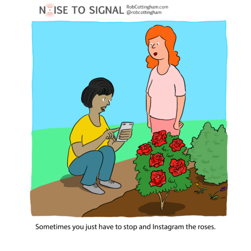 (person photographing roses with a phone) Sometimes you just have to stop and Instagram the roses.