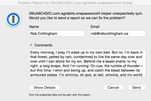 I believe crash reports should be worth reading (12) - Rob Cottingham