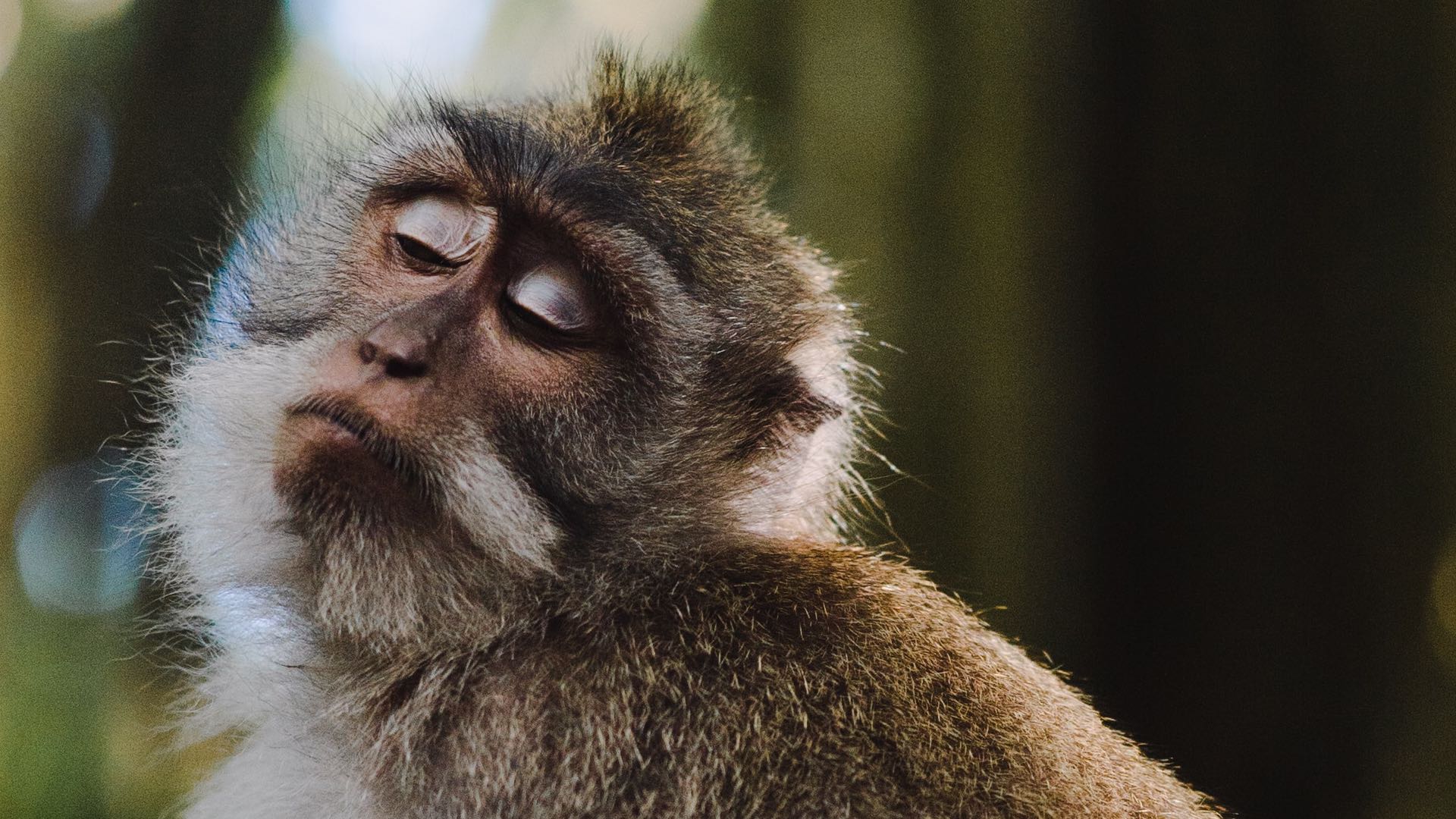 Ep. 40. Cop an attitude … and take a stand