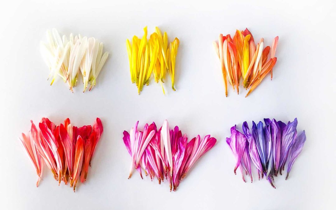 Ep. 59. Leadership communication through curation